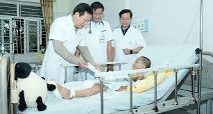 Vai trò trong hệ thống y tế Việt Nam